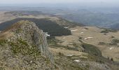 Trail Walking Lavigerie - Boucle de La Gravière, Bec d'aigle, Seycheuse - Photo 2