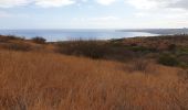 Randonnée Marche Saint-Paul - Boucle dans la Savane depuis le cap de la Houssaye - Photo 2