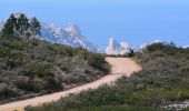 Tocht Stappen Marseille - Puget / Aiguille Guillemin  Cap Gros Val Chalabran-16056341 - Photo 9