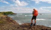 Tour Wandern Sainte-Anne - Savane des Pétrifications - Photo 14