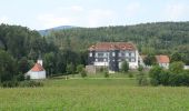 Tour Zu Fuß Rohrbach an der Lafnitz - Wanderweg 10 - Photo 2