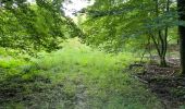 Randonnée Marche Oigny-en-Valois - en forêt de Retz_86_les Laies de la Poudrerie et de la Fosse aux Demoiselles - Photo 9