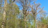 Trail Walking Florennes - Morialmé - Photo 2