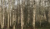 Excursión Bici eléctrica Maaseik - Van Opoeteren naar Maaseik en terug - Photo 2