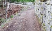 Trail Walking Cauterets - plateau du lisey 2019 - Photo 9