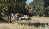 Randonnée Marche Lardiers - lardiers. du grand chêne à la bergerie  inconnue - Photo 5