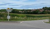 Tour Elektrofahrrad Ostwald - Sans pluie  - Photo 5