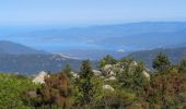 Tour Wandern Monacia-d'Aullène - omu di cagna, col du Monaco, omu d'ovace - Photo 4