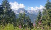 Tocht Stappen Sexten - Sesto - Helm - Monte Helmo 2434m - Photo 3