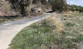 Tocht Stappen Montalba-le-Château - Montauban le château corral grandes or - Photo 2