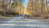 Randonnée Marche Lacroix-Saint-Ouen - en forêt de Compiègne_45_sur les Routes de Morienval et de Champlieu - Photo 5