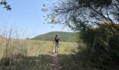 Tour Wandern Biure - Biure  - Photo 2