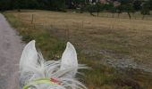 Trail Horseback riding Saint-Martin - St Martin domevre bois banal Pont rouge blockhaus  - Photo 5