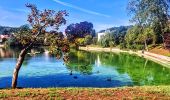 Tour Wandern Sceaux - Boucle autour du parc de Sceaux - Photo 3