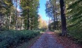 Tocht Stappen Sint-Genesius-Rode - Rhode forêt de Soignes chiens admis  - Photo 2