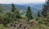 Tour Wandern Linthal - Hilsen-Hilsenfirst-Petit Ballon-Hilsen - Photo 8