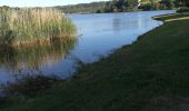 Randonnée Marche Guipavas - Kerhuon-Guipavas-Brest entre mer et forêts  - Photo 15