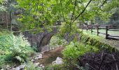 Trail Walking Abetone Cutigliano - Boucle du mont Poggione par le Lago Nero et le jardin botanique - Photo 6