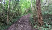 Tocht Stappen Nandrin - promenade de la rochette : villers le temple - grand fond d'oxhe - villers le temple - Photo 14