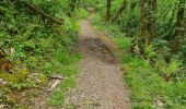 Trail Walking Collonges-la-Rouge - colonge - Photo 14