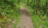 Tocht Stappen Collonges-la-Rouge - colonge - Photo 14