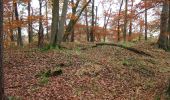 Tocht Te voet Alzenau - Kulturweg Alzenau 1 - Photo 6