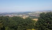 Tour Wandern Zabern - Les 4 châteaux de Saverne - Photo 10