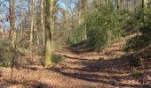 Tocht Stappen Durbuy - Heyd avec le chemin des crêtes  - Photo 15