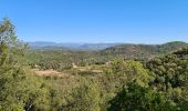 Trail Walking Les Arcs-sur-Argens - Vidauban - Tournavelle - Photo 3