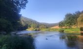 Trail Walking Bouillon - Rocher du pendu  - Photo 8