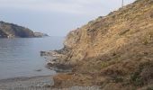 Randonnée Marche Cerbère - les aloès. cerbère . coll dells belitres (espagne) . cap cerbère . cerbère. les aloès   - Photo 3