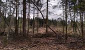 Randonnée Marche Le Poizat-Lalleyriat -  le chemin de l'écureuil - Photo 4