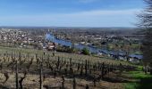 Trail Walking Joigny - Joigny 210328 - Photo 2