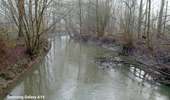 Tocht Stappen Hannuit - moxhe reco 12 24 - Photo 9