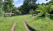 Excursión Senderismo Grand'Rivière - Boucle  Malakoff - Grand-Riviere - Photo 17