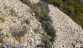 Excursión Senderismo Saint-Rémy-de-Provence - St Rémy  plateau de Caume - Photo 4