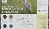 Trail Walking Braine-le-Comte - Château de Bornival par le vieux canal - Photo 5