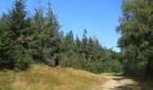 Tour Zu Fuß Leck - Historischer Westlicher Ochsenweg und Langenberger Forst - Photo 9