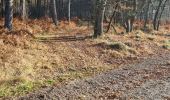 Tour Nordic Walking Cestas -  Reco Pinoche 22/12/2021 - Photo 7