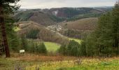 Tocht Stappen La Roche-en-Ardenne - Chèque - Photo 4