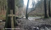 Tocht Stappen Trois-Ponts - GR 5 EN BOUCLE LIEGE TOME 2 rando 29 14km - Photo 19