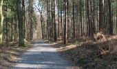 Excursión A pie Hilden - Laufstrecke Kaninchen (Hildener Stadtwald) - Photo 7