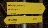 Randonnée A pied Goldegg - Drei-Buchenrundweg - Photo 1