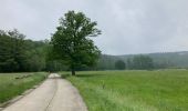 Tour Wandern Rochefort - GR 17 - Boucle 4 / Han-sur-Lesse / 18 km - Photo 4