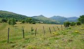 Trail Walking Dienne - Cantal - le Chaumeil - Dienne et Rocher de Laqueille - 9km 265m 2h50 - 2019 07 05 - Photo 4