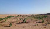 Tour Wandern M'Hamid El Ghizlane ⵎⵃⴰⵎⵉⴷ ⵍⵖⵯⵣⵍⴰⵏ امحاميد الغزلان - Campement 1 au Campement 2 - Photo 5