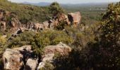 Tocht Stappen Bagnols-en-Forêt - Gorges du Blavet 83 - Photo 2