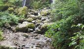 Tour Wandern Plancher-les-Mines - Cascades de la Goutte des Saules - Belvédère - Grotte St Antoine - Photo 15