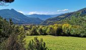 Tocht Mountainbike Remollon - VTT - Remollon - Vière - Col Lebraut - Rousset - Remollon - Photo 4