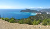 Tour Zu Fuß Sestri Levante - Moneglia-Punta Baffe - Photo 3